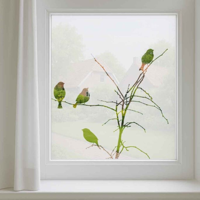 Decoratieve raamfilm met vogels