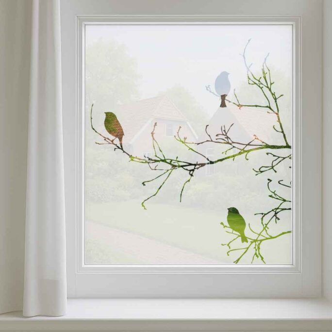 Raamfolie met vogels op takken