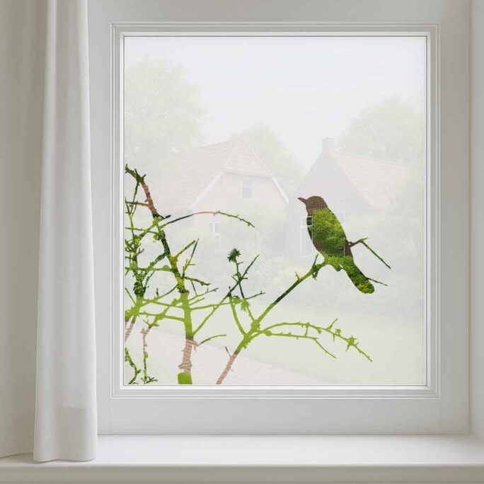 Raamfolie vogel op tak
