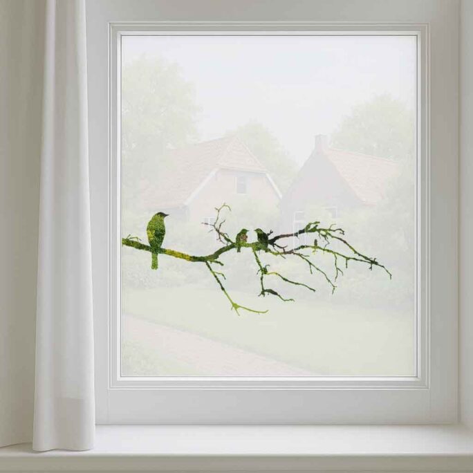 Raamfolie Vogels op Tak (inkijkwerend & decoratief)